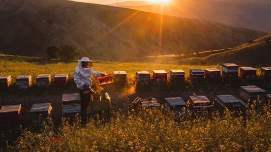 How 2025 Food Beverage Trend Reports Highlight Honey's Growing Appeal